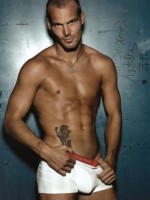 Fredrik Ljungberg 