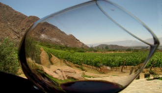 Vinos con Denominación