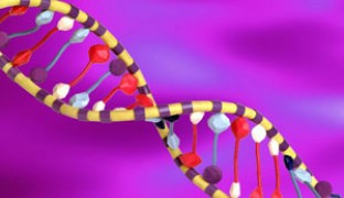 ¿Tienes ADN de emprendedor?