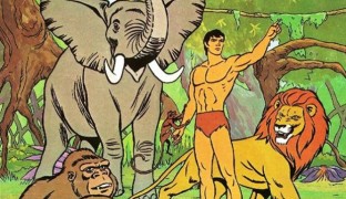 14 cuerpazos para Tarzán