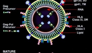 5676977: ¿Qué significa este número?