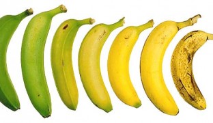 ¿Qué tipo de pene tienes?